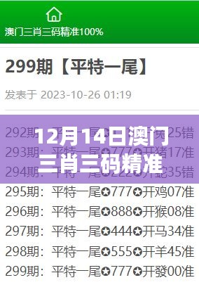 12月14日澳门三肖三码精准100%黄大仙：赌桌上的智慧与策略