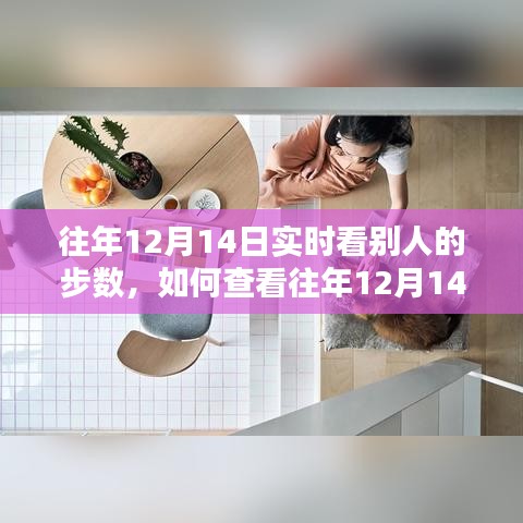 查看往年12月14日他人实时步数指南，详细步骤解析