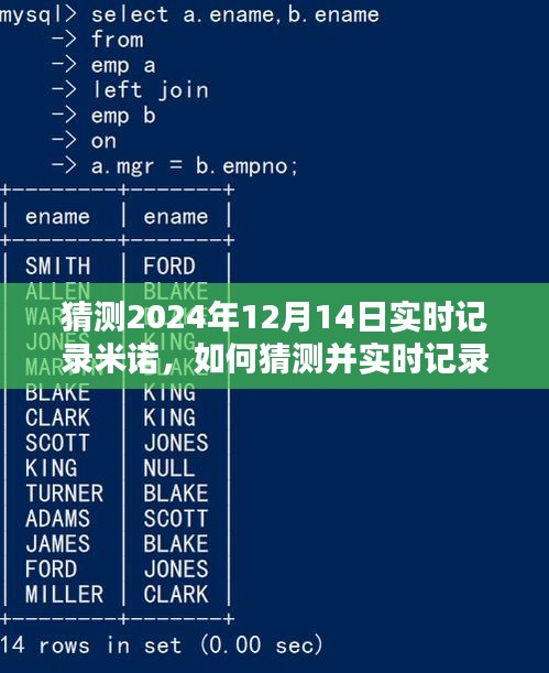 详细步骤指南，如何猜测并实时记录米诺在特定日期的活动——以2024年12月14日为例