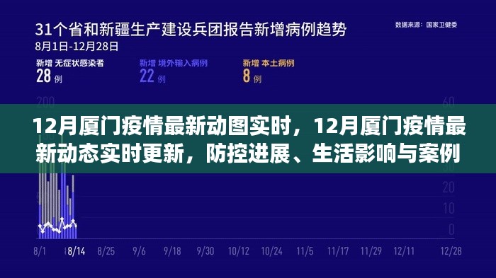 12月厦门疫情最新动态实时更新，防控进展、生活影响及案例分析