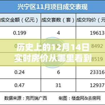 揭秘历史房价走势，探寻十二月十四日实时动态尽在小红书