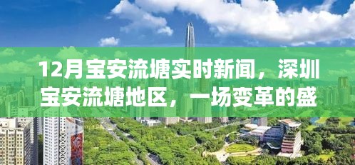 深圳宝安流塘地区变革盛宴，12月实时新闻回顾与探析