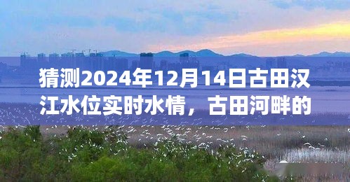 古田河畔温情时光，预测未来水位与友情之旅的交融体验（2024年12月14日实时水情）