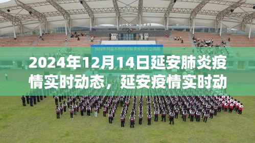 2024年12月14日延安肺炎疫情实时动态回顾与记录