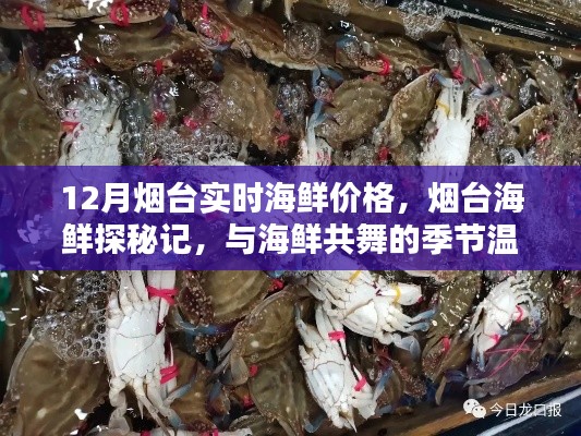 烟台海鲜探秘记，冬季海鲜价格实时解析与季节温情的共舞