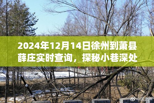 徐州至萧县薛庄特色小吃探秘之旅，2024年实时出行指南