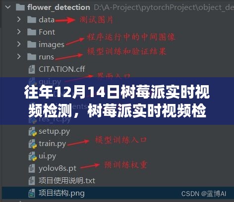 树莓派实时视频检测，时代的里程碑与技术飞跃回顾（12月14日视角）