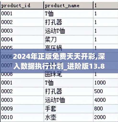 2024年正版免费天天开彩,深入数据执行计划_进阶版13.816