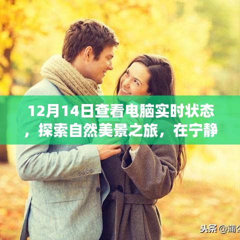 探索自然美景之旅，电脑实时状态下的宁静时光