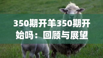 350期开羊350期开始吗：回顾与展望的交织情感