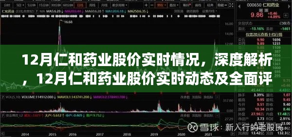 深度解析，12月仁和药业股价实时动态与全面评测报告