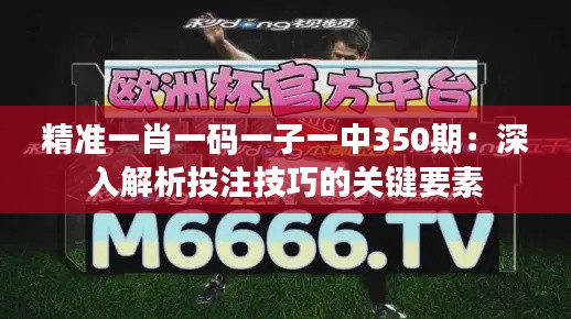 精准一肖一码一子一中350期：深入解析投注技巧的关键要素