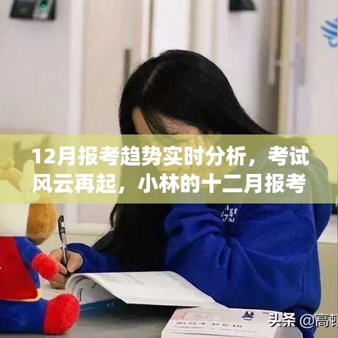 小林视角下的十二月考试报考趋势深度解析与故事分享