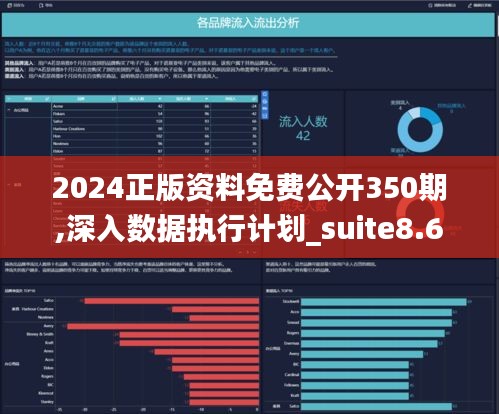 2024正版资料免费公开350期,深入数据执行计划_suite8.610