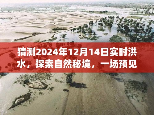 探索自然秘境，预见洪水之旅，心灵宁静之地的奇妙探索（2024年洪水预测版）