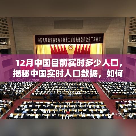 揭秘中国十二月实时人口数据，获取与分析方法