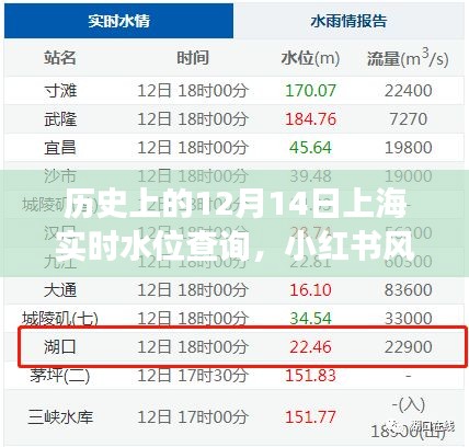 历史上的12月14日上海实时水位揭秘，小红书风格带你探寻背后的故事