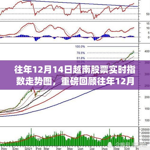 往年12月14日越南股票实时指数走势图深度解析，洞悉股市风云变幻