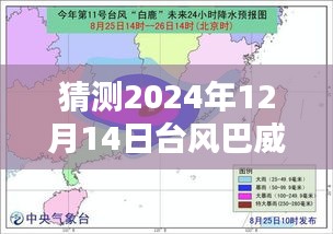 台风巴威肆虐，2024年12月14日受灾实录与实时报道回顾