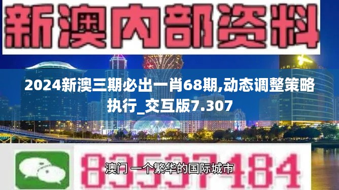 2024新澳三期必出一肖68期,动态调整策略执行_交互版7.307