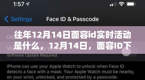 12月14日面容ID下的温馨日常与魔法友情，历年活动回顾与实时动态解析