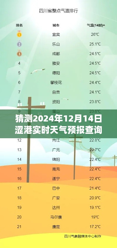 揭秘涩港天气预报，解读与预测，以2024年12月14日涩港实时天气预报查询为例