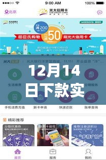 12月14日下款实时数据，与自然美景的邂逅与内心的平和之旅