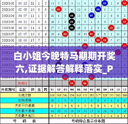 白小姐今晚特马期期开奖六,证据解答解释落实_P版5.660