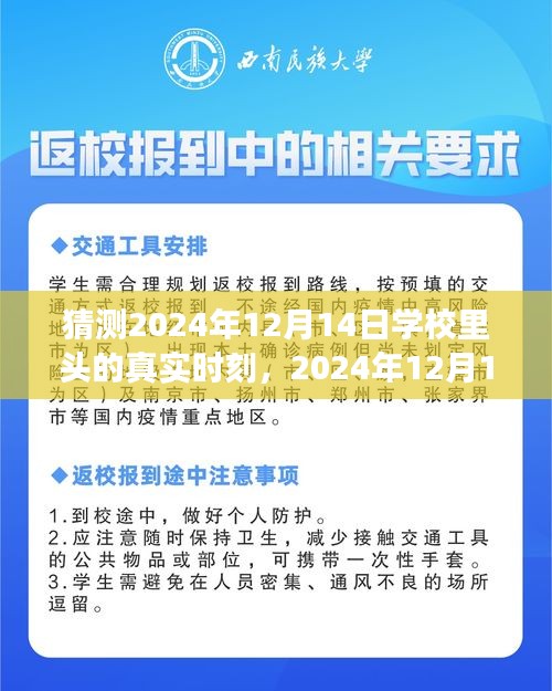 回溯与畅想，2024年校园时光的真实时刻与洞察