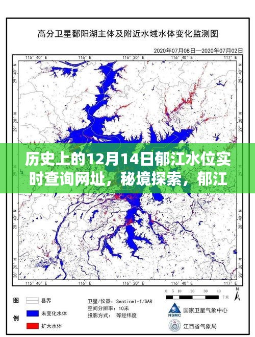 秘境探索与美味奇缘，郁江水位变迁下的特色小店故事与美味探寻——历史上的水位实时查询与美味秘境揭秘