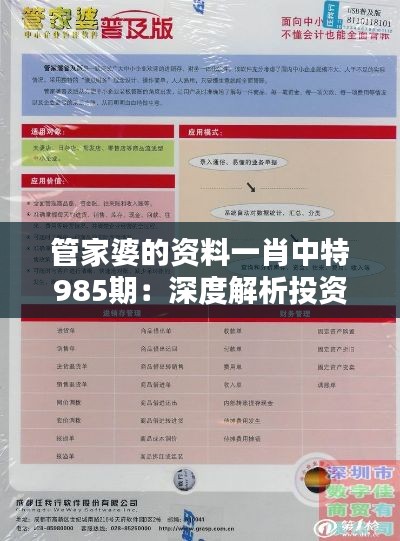 管家婆的资料一肖中特985期：深度解析投资智慧的关键