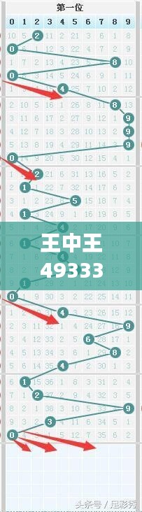 王中王493333必中一肖：揭秘号码选择策略及其可能的影响力