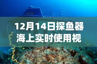 探鱼器深海秘境探索之旅，海上实时体验与小巷特色小店探秘视频