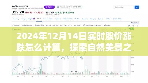 探索自然美景之旅，股价涨跌奥秘与内心宁静的探寻（实时分析）