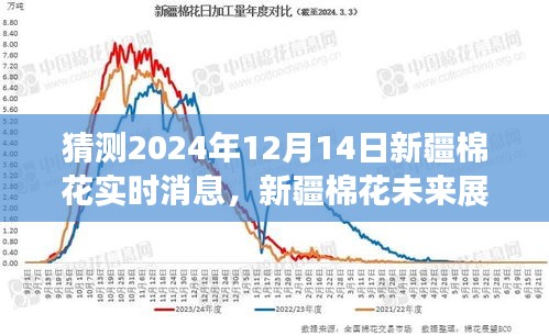 新疆棉花未来展望，智能预测系统引领革新风潮，预测至2024年智能趋势及实时消息解读