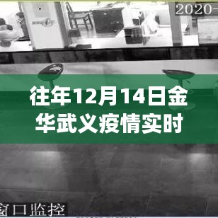 金华武义疫情下的温情瞬间，历年十二月十四日实时数据与小城故事回顾