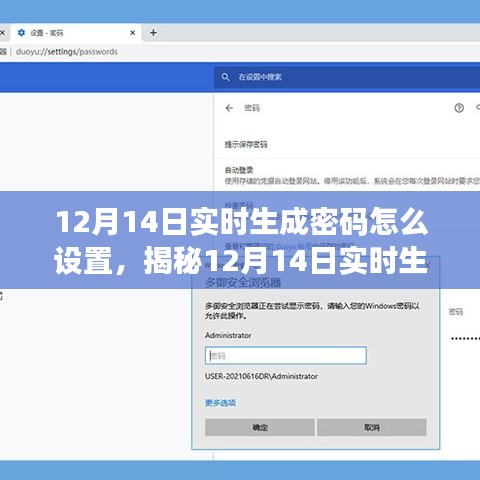 揭秘12月14日实时生成密码设置技巧，保障网络安全与个人隐私的方法探讨