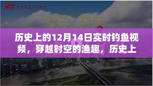 小红书带你重温历史钓鱼瞬间，穿越时空的渔趣，实时钓鱼视频回顾！