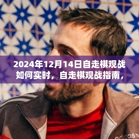 自走棋观战指南，实时观战攻略（适用于2024年12月）