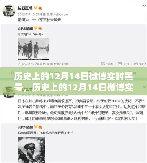 历史上的12月14日微博实时黑号，全面评测与深度介绍