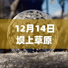 揭秘坝上草原气候奥秘，12月14日实时气温图分析