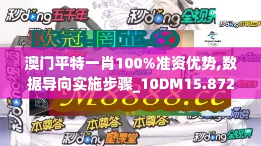 澳门平特一肖100%准资优势,数据导向实施步骤_10DM15.872