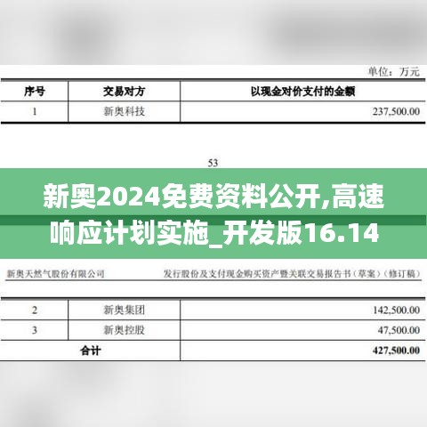 新奥2024免费资料公开,高速响应计划实施_开发版16.147