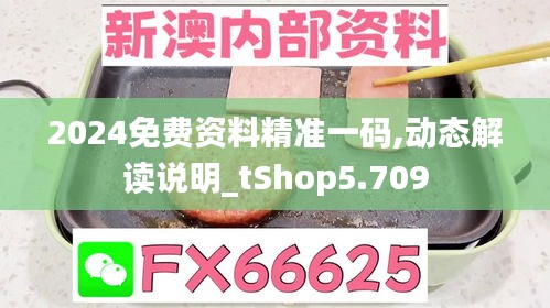 2024免费资料精准一码,动态解读说明_tShop5.709