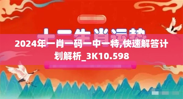 2024年一肖一码一中一特,快速解答计划解析_3K10.598