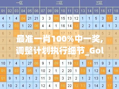 最准一肖100%中一奖,调整计划执行细节_Gold3.647