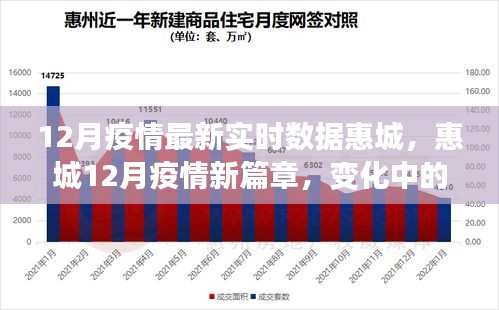 惠城12月疫情最新动态，数据新篇章，学习变迁与成就感的闪耀之路