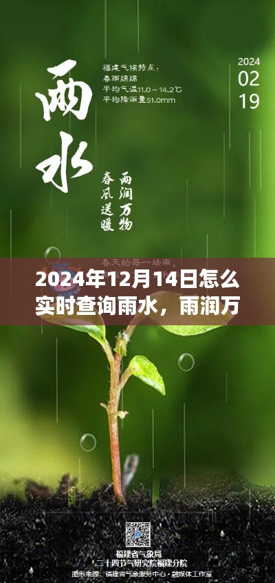 雨水实时查询背后的故事与意义，探寻雨润万物的数据力量（2024年12月14日）