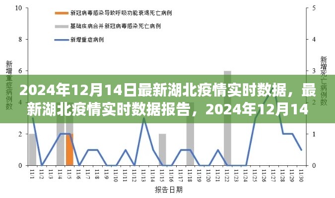 2024年12月14日湖北疫情实时数据报告与深度解析