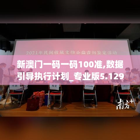 新澳门一码一码100准,数据引导执行计划_专业版5.129